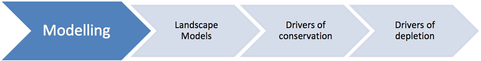 AGENTS project activities graphic: Modelling--Landscape models to Drivers of conservation to Drivers of depletion.