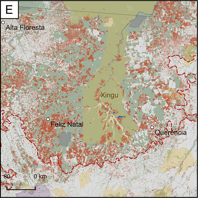 Map of Focus Research Area E: the area is in the southeastern portion of the region. It has experienced a great amount of forest loss between the years 2000 and 2017. Land of the indigenous Xingu people runs through the middle of the area from north to south. The area includes the cities of Feliz Natal and Alta Floresta.