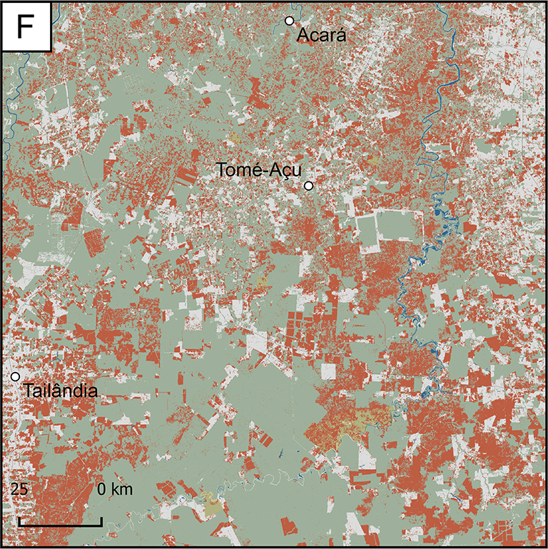 Map of Focus Research Area F: a small area near the east coast and immediately south of the city of Belem. It has experienced a great amount of forest loss between the years 2000 and 2017. The area includes the cities of Acara and Tome-Acu.